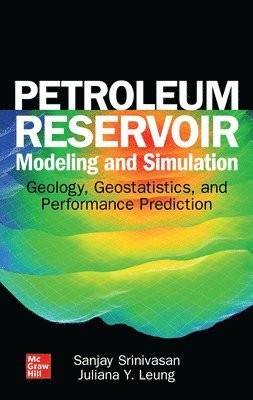 bokomslag Petroleum Reservoir Modeling and Simulation: Geology, Geostatistics, and Performance Prediction