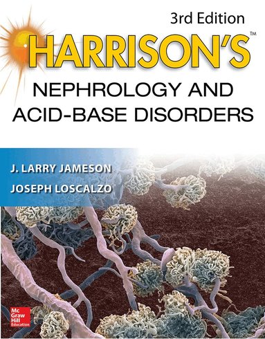 J. Larry Jameson, Joseph Loscalzo - Harrison's Nephrology and Acid-Base Disorders, 3e, Häftad