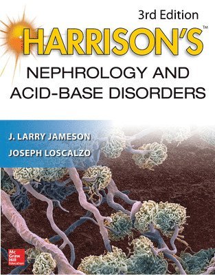 bokomslag Harrison's Nephrology and Acid-Base Disorders, 3e