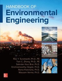 bokomslag Handbook of Environmental Engineering