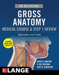 bokomslag The Big Picture: Gross Anatomy, Medical Course & Step 1 Review, Second Edition