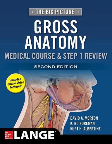 David Morton, K. Bo Foreman, Kurt Albertine - Big Picture: Gross Anatomy, Medical Course & Step 1 Review, Second Edition, Häftad