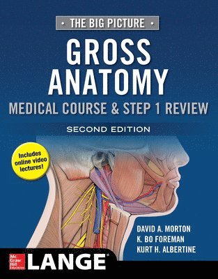 bokomslag Big Picture: Gross Anatomy, Medical Course & Step 1 Review, Second Edition