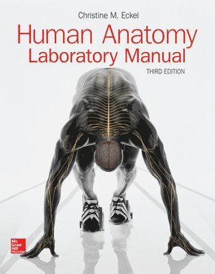 bokomslag Human Anatomy Laboratory Manual