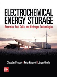 bokomslag Electrochemical Energy Storage