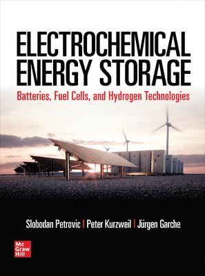 bokomslag Electrochemical Energy Storage