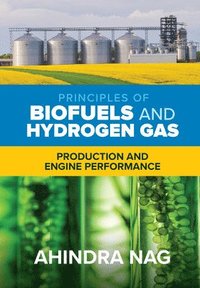 bokomslag Principles of Biofuels and Hydrogen Gas: Production and Engine Performance
