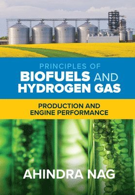 bokomslag Principles of Biofuels and Hydrogen Gas: Production and Engine Performance