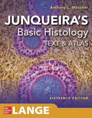 Junqueira's Basic Histology: Text and Atlas, Sixteenth Edition 1