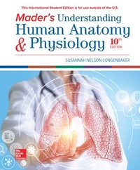 bokomslag ISE Mader's Understanding Human Anatomy & Physiology