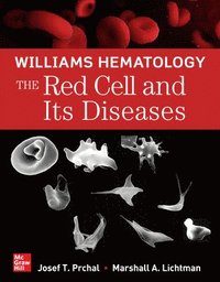 bokomslag Williams Hematology: The Red Cell and Its Diseases