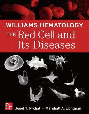 Josef Prchal, Marshall Lichtman, Josef T. Prchal, Marshall A. Lichtman, Josef T Prchal, Marshall A Lichtman - Williams Hematology: The Red Cell and Its Diseases, Häftad