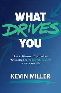 bokomslag What Drives You: How to Discover Your Unique Motivators and Accelerate Growth in Work and Life