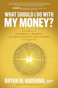 bokomslag What Should I Do with My Money?: Economic Insights to Build Wealth Amid Chaos