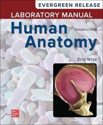 Laboratory Manual by Wise for Saladin's Human Anatomy: 2024 Release 1