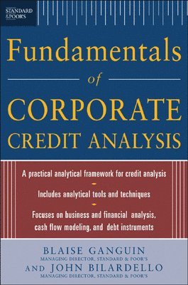 bokomslag Standard & Poor's Fundamentals of Corporate Credit Analysis (PB)