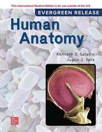 bokomslag Human Anatomy ISE