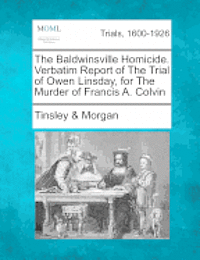 bokomslag The Baldwinsville Homicide. Verbatim Report of the Trial of Owen Linsday, for the Murder of Francis A. Colvin