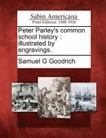 bokomslag Peter Parley's Common School History