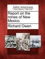 bokomslag Report on the Mines of New Mexico.
