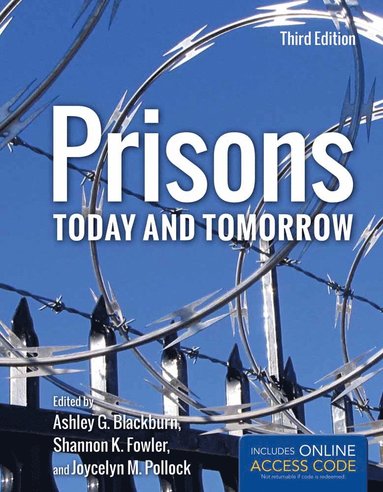 bokomslag Prisons Today And Tomorrow