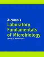 bokomslag Alcamo's Laboratory Fundamentals Of Microbiology