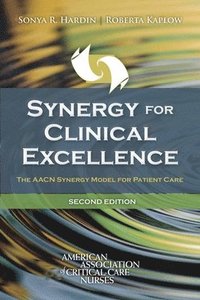 bokomslag Synergy For Clinical Excellence