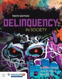 bokomslag Delinquency In Society