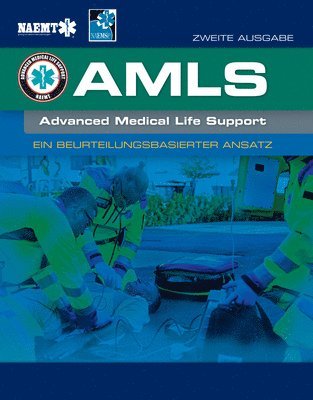 AMLS German: Ein Beurteilungsbasierter Ansatz 1