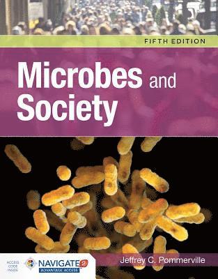 bokomslag Microbes And Society