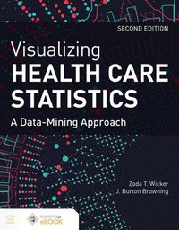 bokomslag Visualizing Health Care Statistics: a Data-Mining Approach