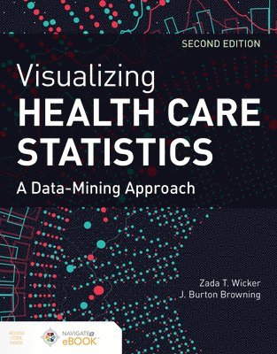 bokomslag Visualizing Health Care Statistics: A Data-Mining Approach