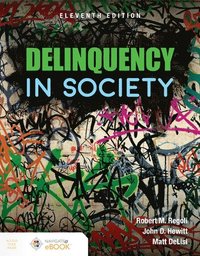 bokomslag Delinquency In Society