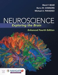 bokomslag Neuroscience: Exploring The Brain, Enhanced Edition