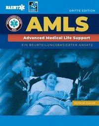 bokomslag GERMAN AMLS: Ein Beurteilungsbasierter Ansatz