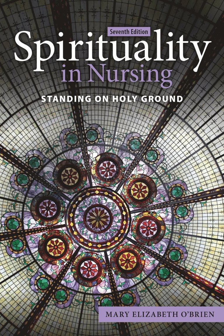 Mary Elizabeth O'Brien - Spirituality in Nursing: Standing on Holy Ground, Häftad