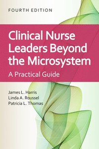 bokomslag Clinical Nurse Leaders Beyond the Microsystem