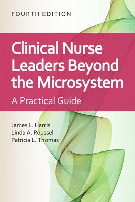 Clinical Nurse Leaders Beyond the Microsystem 1