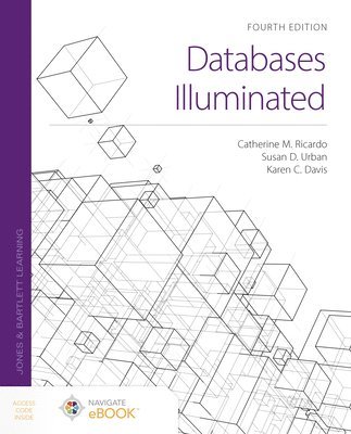 bokomslag Databases Illuminated