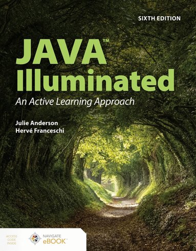 Julie Anderson, Hervé J. Franceschi - Java Illuminated, Häftad