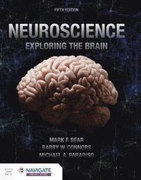 bokomslag Neuroscience: Exploring the Brain