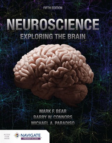 Mark Bear, Barry Connors, Michael A. Paradiso - Neuroscience: Exploring the Brain, Häftad