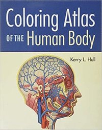 bokomslag Coloring Atlas of the Human Body