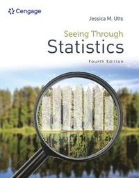 bokomslag Seeing Through Statistics