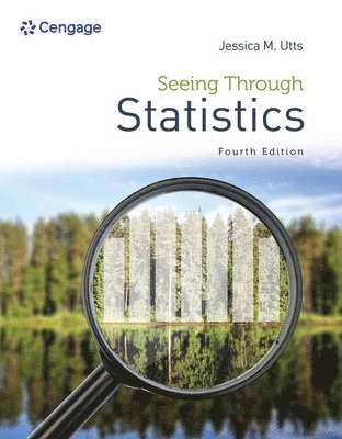 bokomslag Seeing Through Statistics