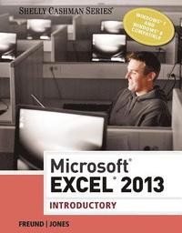 bokomslag Microsoft Excel 2013