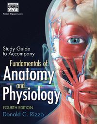 bokomslag Study Guide for Rizzo's Fundamentals of Anatomy and Physiology, 4th