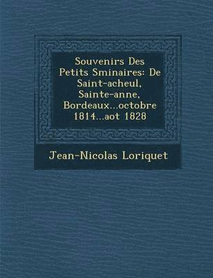 bokomslag Souvenirs Des Petits S Minaires