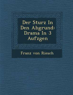 bokomslag Der Sturz in Den Abgrund