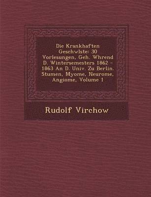 Rudolf Virchow - Die Krankhaften Geschw�lste, Häftad